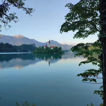 Bled Lake Number 10 Exterior photo