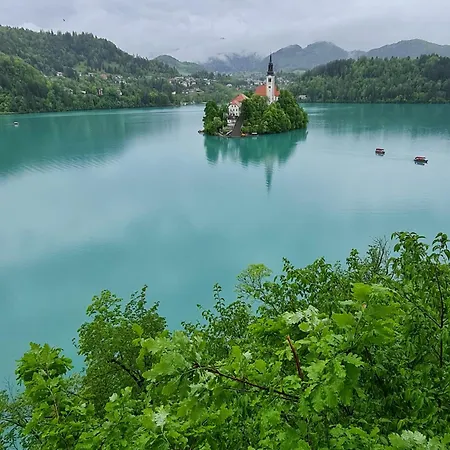 Bled Lake Number 10 Exterior photo